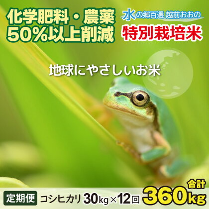 【令和5年産】【12ヶ月定期便】こしひかり 30kg × 12回 計 360kg【白米】減農薬・減化学肥料 「特別栽培米」－地球にやさしいお米－【お米・コシヒカリ】[R-003001]