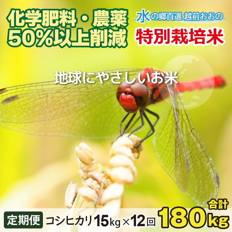 【ふるさと納税】【令和5年産】【12ヶ月定期便】こしひかり 15kg × 12回 計 180kg【白米】減農薬・減化学肥料 「特別栽培米」－地球にやさしいお米－【定期便・お米・コシヒカリ】[O-003001]