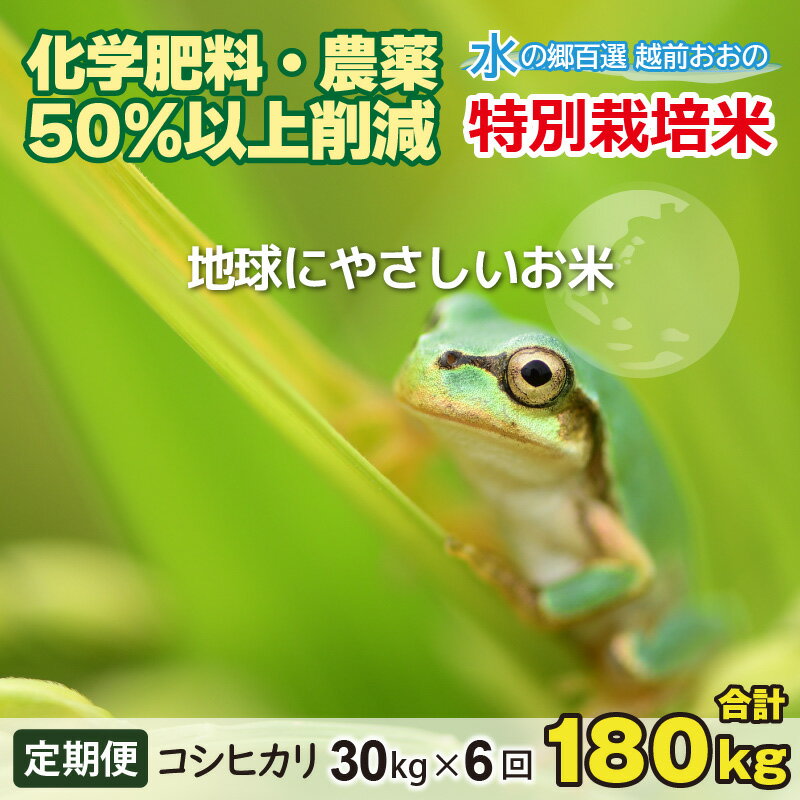 [令和5年産][6ヶ月定期便]こしひかり 30kg × 6回 計 180kg[白米]減農薬・減化学肥料 「特別栽培米」−地球にやさしいお米−[お米・コシヒカリ][O-003004]