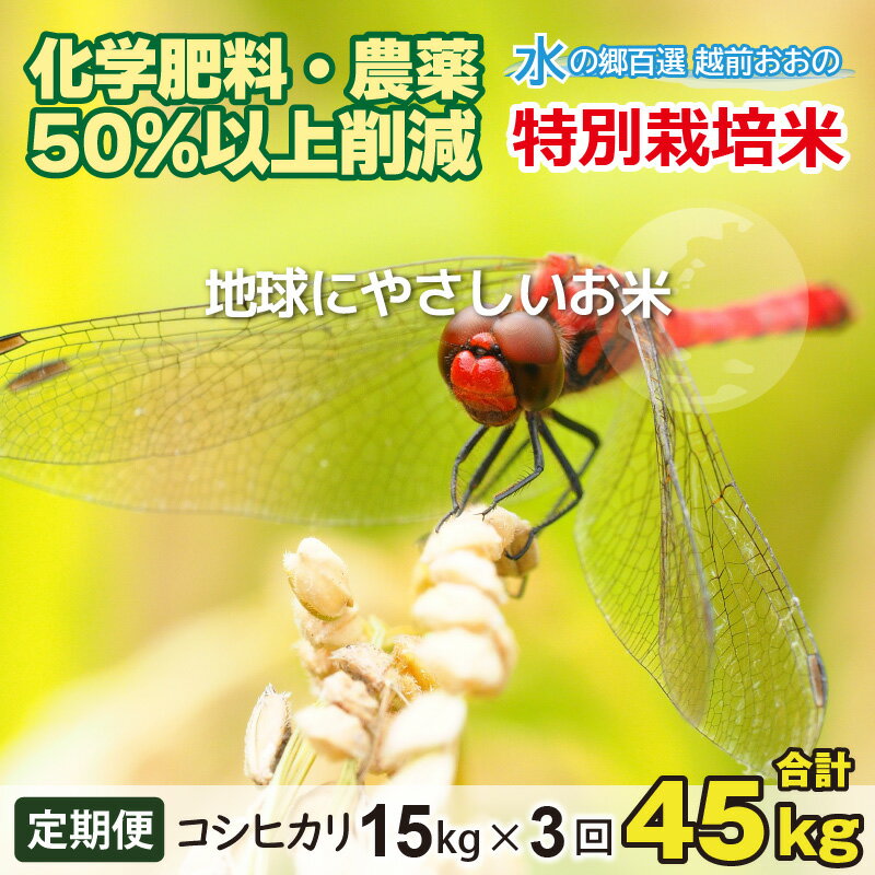 [令和5年産][3ヶ月定期便]こしひかり 15kg ×3回 計 45kg[白米] 減農薬・減化学肥料 「特別栽培米」−地球にやさしいお米−[定期便・お米・コシヒカリ・3ヶ月連続・米・計45kg・3回][F-003001]