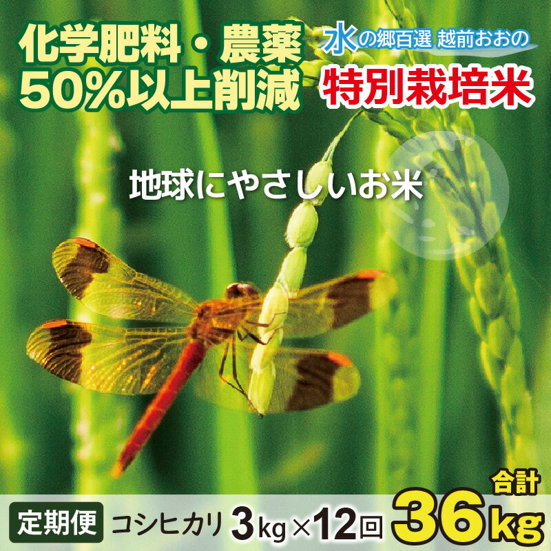 【ふるさと納税】【令和5年産】【12ヶ月定期便】こしひかり 