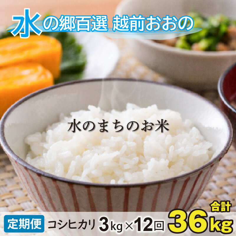 【ふるさと納税】【令和5年産】【12ヶ月定期便】こしひかり 3kg×12回 計36kg【白米】「エコファーマー米」水のまちのお米 【定期便・お米・コシヒカリ】[E-003002]