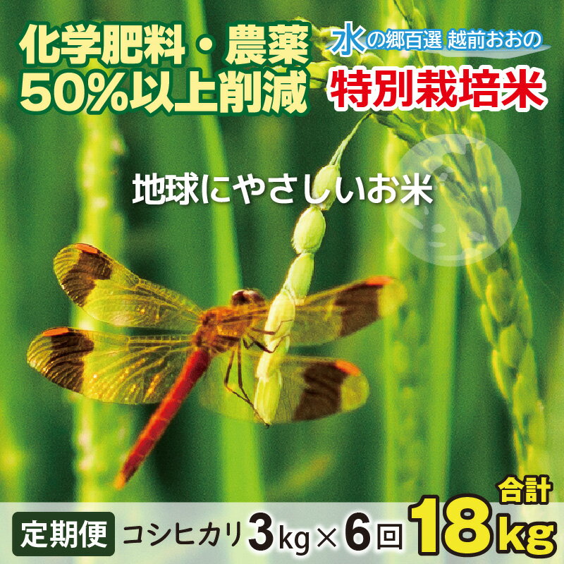 [令和5年産][6ヶ月定期便]こしひかり 3kg × 6回 計 18kg[白米]減農薬・減化学肥料「特別栽培米」−地球にやさしいお米−[定期便・お米・コシヒカリ・定期便][B-003002]