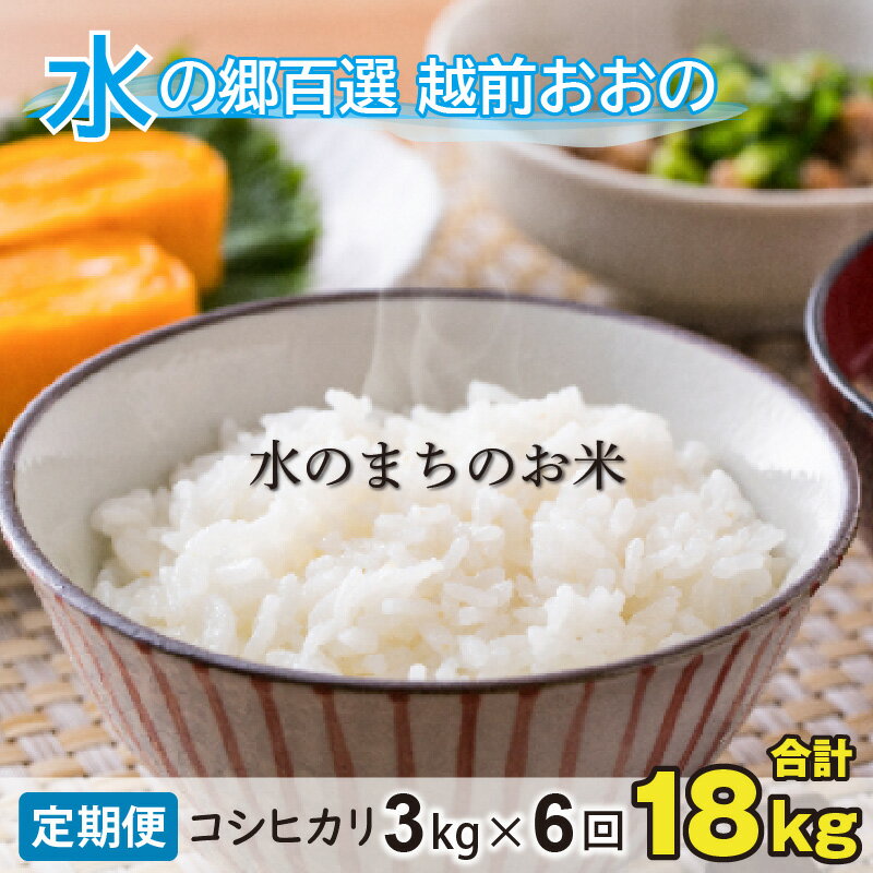 【ふるさと納税】【令和5年産】【6ヶ月定期便】こしひかり 3kg×6回 計18kg【白米】「エコファーマー米」水のまちのお米　【定期便・お米・コシヒカリ】[B-003003]