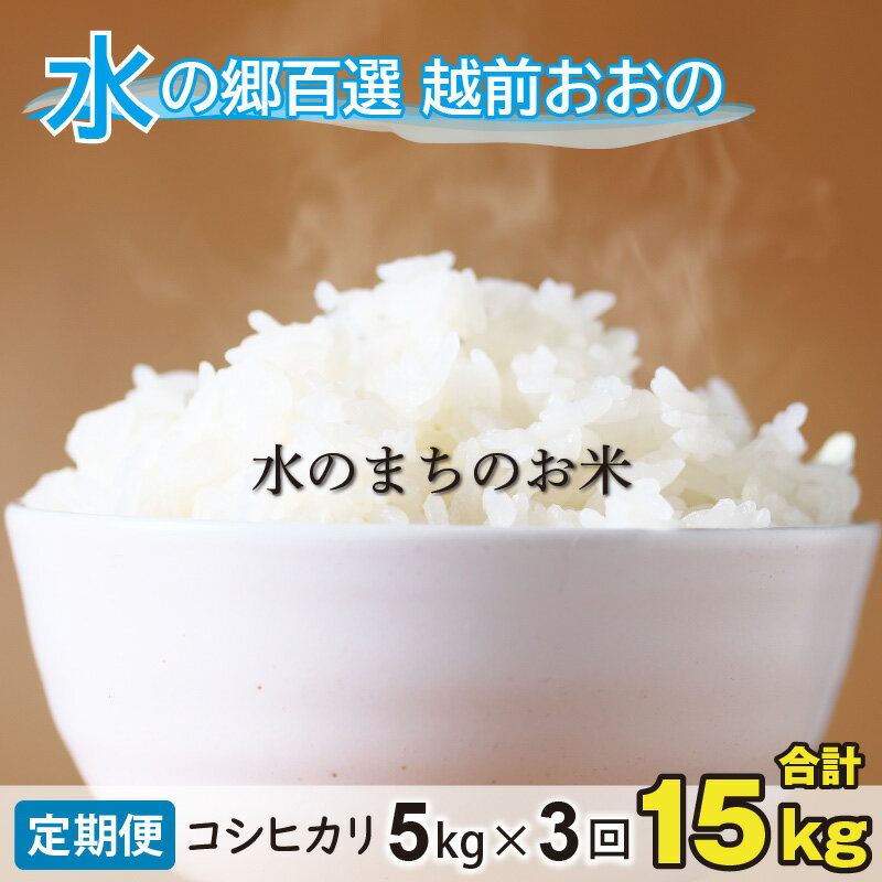 【ふるさと納税】【令和5年産】【3ヶ月定期便】こしひかり 5kg×3回 計15kg【白米】「エコファーマー米」水のまちのお米 【定期便・お米・コシヒカリ・3ヶ月連続・米・3回・計15kg】[B-003004]