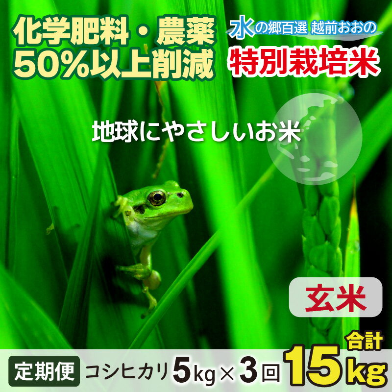 [令和5年産][3ヶ月定期便]こしひかり 5kg × 3回 計 15kg[玄米]減農薬・減化学肥料 「特別栽培米」−地球にやさしいお米−[お米・コシヒカリ・玄米][B-003007]