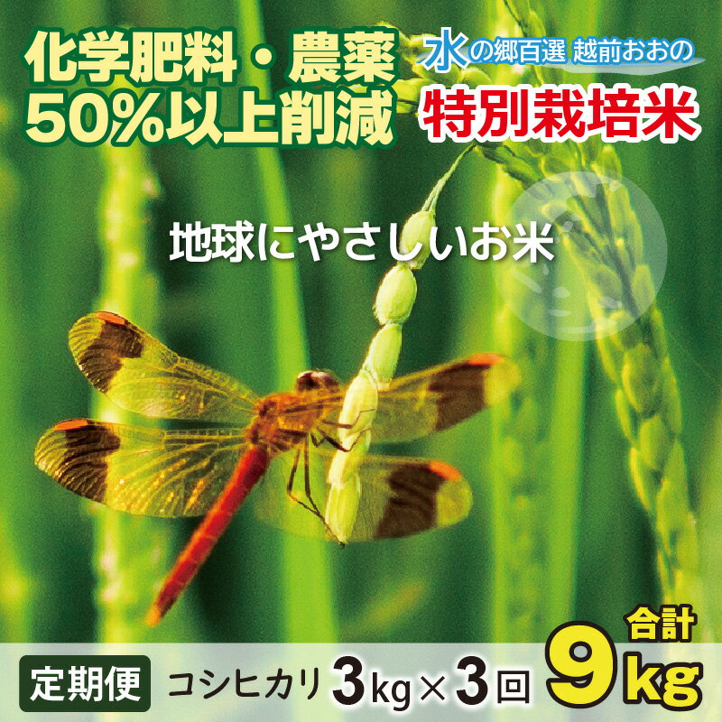 【ふるさと納税】【令和5年産】【3ヶ月定期便】こしひかり 3kg × 3回 計 9kg【白米】減農薬・減化学肥料「特別栽培米」－地球にやさしいお米－【定期便・お米・コシヒカリ】[A-003001]