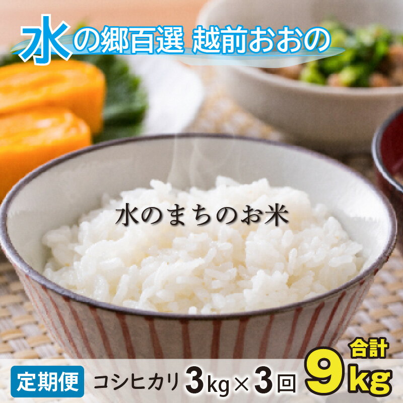 【ふるさと納税】【令和5年産】【3ヶ月定期便】こしひかり 3kg×3回 計9kg【白米】「エコファーマー米」水のまちのお米 【定期便・お米・コシヒカリ】[A-003002]