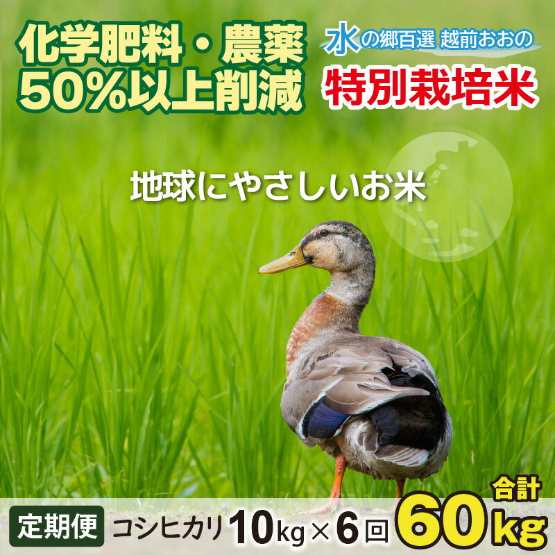 [令和5年産][6ヶ月定期便]こしひかり 10kg×6回 計 60kg[白米]減農薬・減化学肥料 「特別栽培米」−地球にやさしいお米−[定期便・お米・コシヒカリ・米・6ヶ月連続・6回・計60kg][I-003003]