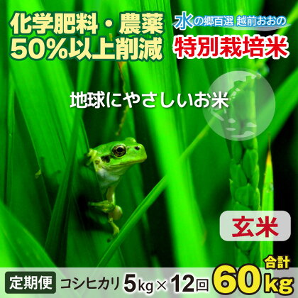 【令和5年産】【12ヶ月定期便】こしひかり 5kg × 12回 計 60kg【玄米】減農薬・減化学肥料 「特別栽培米」－地球にやさしいお米－【お米・コシヒカリ・玄米】[H-003003]