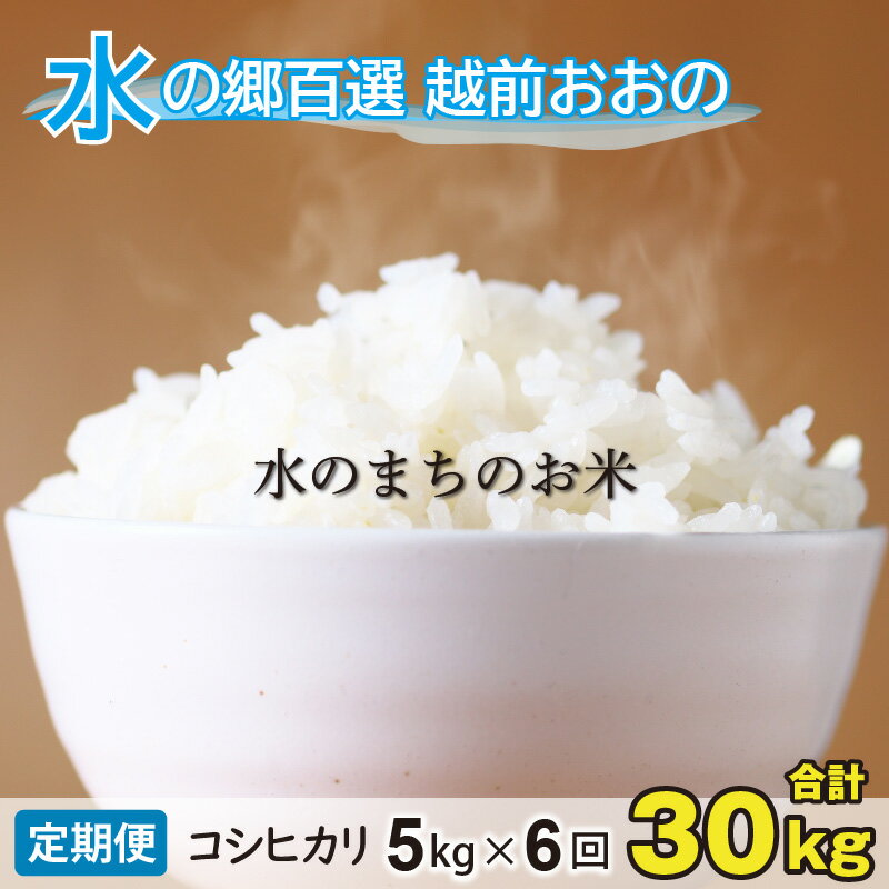 【ふるさと納税】【令和5年産】【6ヶ月定期便】こしひかり 5kg×6回 計30kg【白米】「エコファーマー米」水のまちのお米 【定期便・お米・コシヒカリ・米・6ヶ月連続・6回・計30kg】[D-003004]