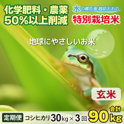 【令和5年産】【3ヶ月定期便】こしひかり 30kg × 3回 計 90kg【玄米】減農薬・減化学肥料 「特別栽培米」－地球にやさしいお米－【お米・コシヒカリ・玄米】[J-003004]