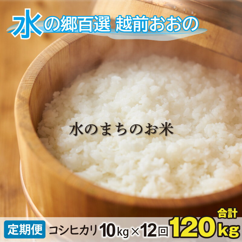 【ふるさと納税】【令和5年産】【12ヶ月定期便】こしひかり 