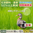 21位! 口コミ数「0件」評価「0」【令和5年産】【12ヶ月定期便】こしひかり 10kg × 12回 計 120kg【玄米】減農薬・減化学肥料 「特別栽培米」－地球にやさしいお･･･ 