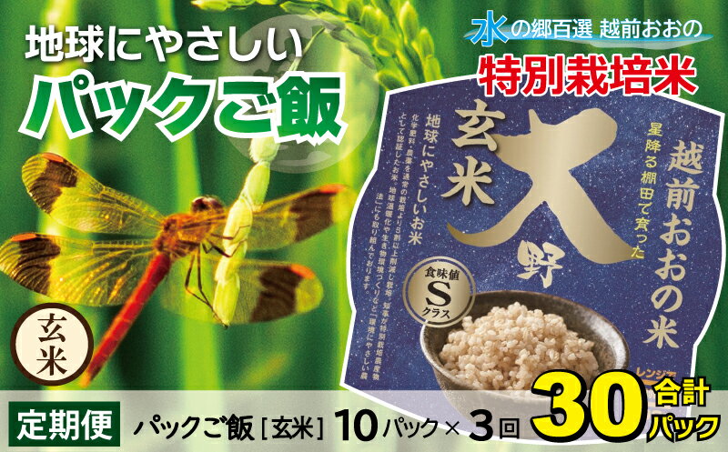 【ふるさと納税】【3ヶ月定期便】地球にやさしいパックご飯 10食入り【玄米】× 3回　計30食　減農薬・...