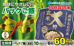 【ふるさと納税】【6ヶ月定期便】地球にやさしいパックご飯 10食入り【玄米】× 6回　計60食　減農薬・減化学肥料 「特別栽培米」－地球にやさしいお米－[E-003003]防災 備蓄