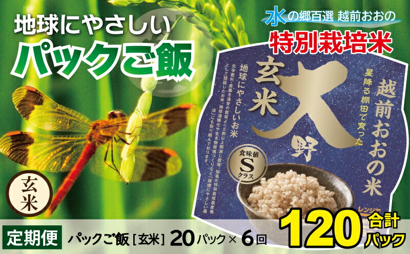 【ふるさと納税】【6ヶ月定期便】地球にやさしいパックご飯 2