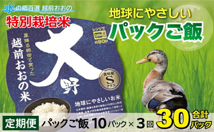 【3ヶ月定期便】地球にやさしいパックご飯 10食入り【白米】× 3回　計30食　減農薬・減化学肥料 「特別栽培米」－地球にやさしいお米－[B-003010]防災 備蓄