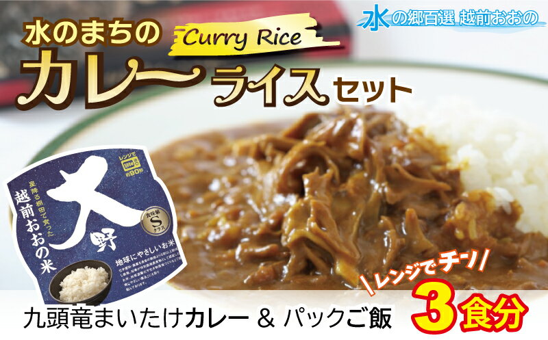 【ふるさと納税】レンジでチン！水のまちのカレーライスセット【3食分】[A-003015]防災 備蓄