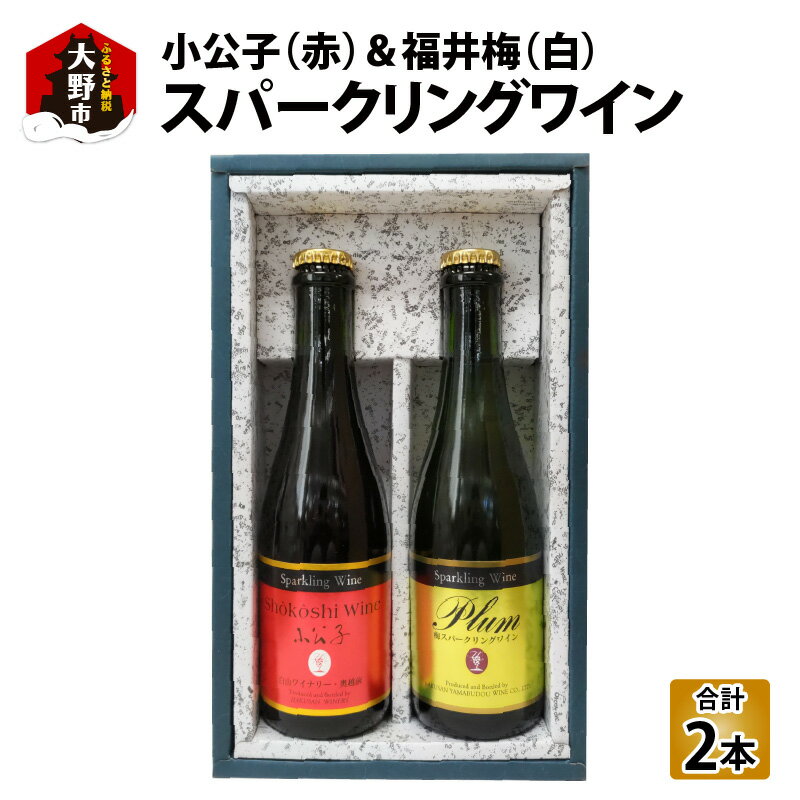 【ふるさと納税】スパークリングワイン小公子＆福井梅 375ml　2本セット【数量限定】 [A-021011]