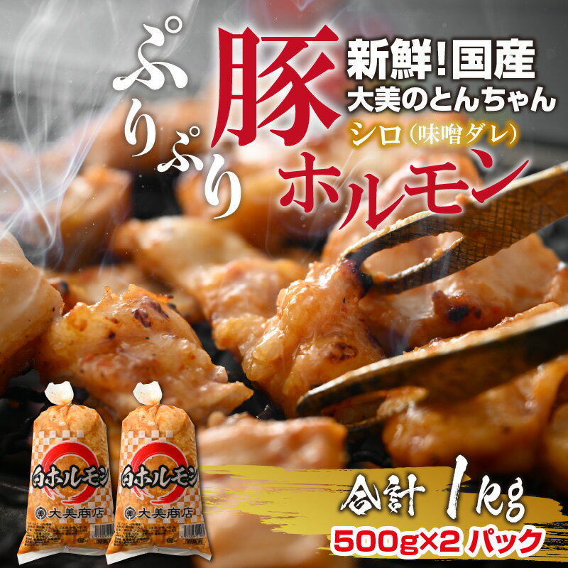 【ふるさと納税】大美のとんちゃん（白）豚ホルモン シロ 味噌ダレ 1kg（500g×2パック） [A-015010] | ホルモン ビール 焼肉 老舗 網焼き 鉄板焼き タレ漬け もつ 味付け 牛肉 豚肉 小分け ハイボール 精肉店 国産 新鮮