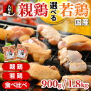 【ふるさと納税】焼肉用 国産 味付け 「親鶏 純けい」・「若