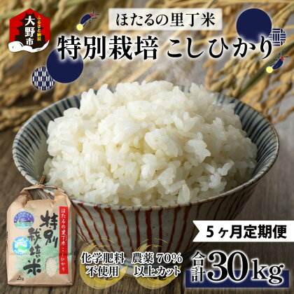 【令和5年産】【5ヶ月定期便】ベストファーマー ほたるの里 特別栽培こしひかり 6kg（2kg×3） × 5回 計30kg 化学肥料不使用 農薬70％以上カット[E-002002]