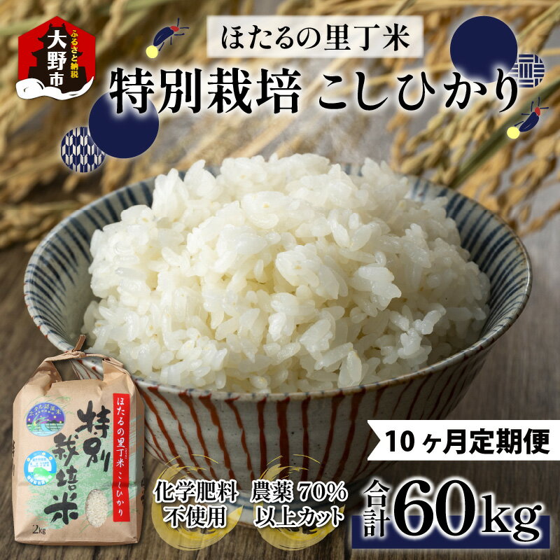 11位! 口コミ数「1件」評価「5」【令和5年産】【10ヶ月定期便】ベストファーマー ほたるの里 特別栽培こしひかり 6kg（2kg×3）× 10回 計60kg 化学肥料不使用･･･ 