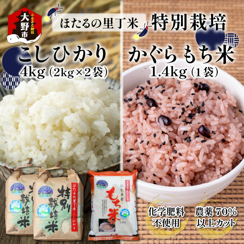 [令和5年産]ベストファーマー ほたるの里 特別栽培こしひかり 4kg(2kg × 2袋) + かぐらもち米 1.4kg 化学肥料不使用 農薬70%以上カット [お米・米・こしひかり・セット・詰め合わせ] [A-002002]