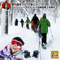 【ふるさと納税】雪の森をワクワク歩こう！スノーシューガイドツアーin六呂師高原 2名様分【体験チケット・ガイド・雪】 [B-010002]