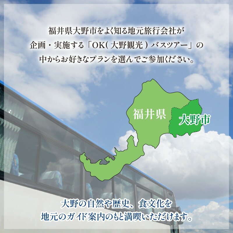 【ふるさと納税】大野を満喫するならコレ！日帰りバスツアー参加券（1名様分）【体験・ツアー・ガイド】 [C-006001] 3