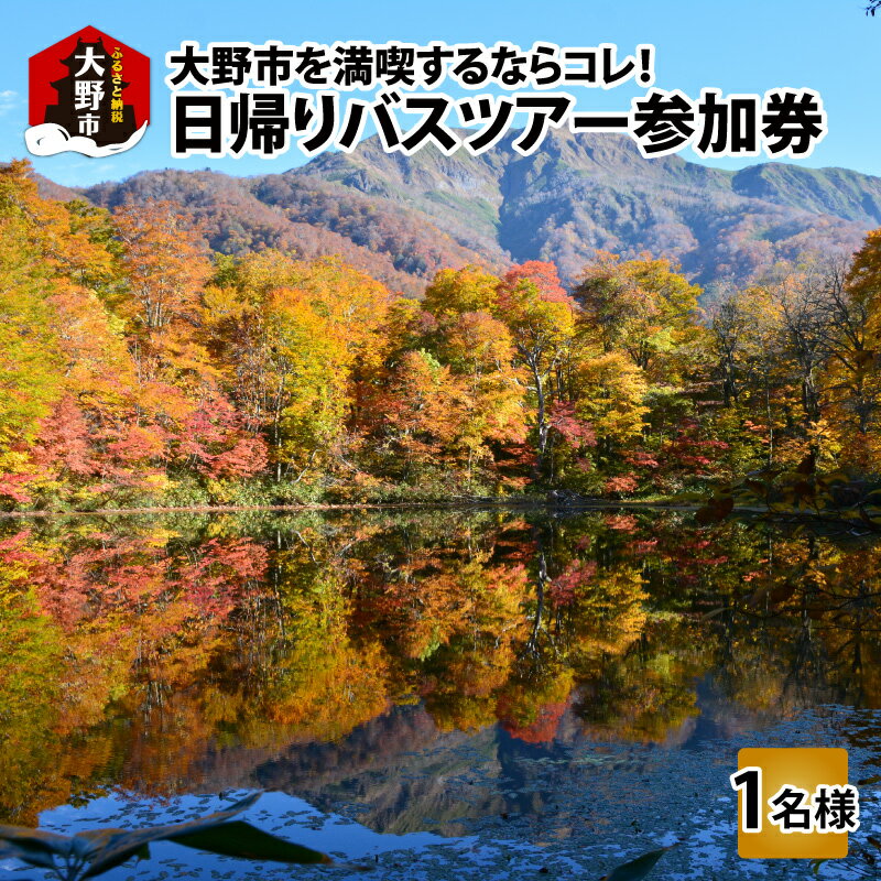 14位! 口コミ数「0件」評価「0」大野を満喫するならコレ！日帰りバスツアー参加券（1名様分）【体験・ツアー・ガイド】 [C-006001]