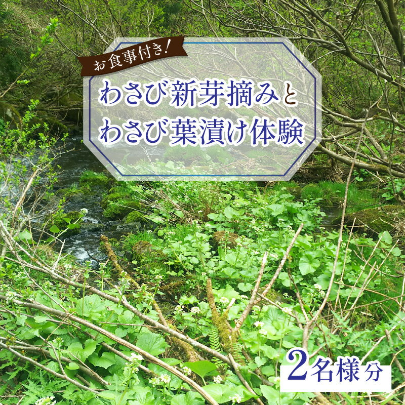 【ふるさと納税】【食事付き】わさび新芽摘みとわさび葉漬け体験（2名様分）【体験・ツアー・ガイド】 [D-006005]