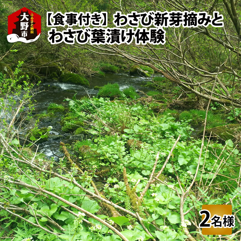 【ふるさと納税】【食事付き】わさび新芽摘みとわさび葉漬け体験（2名様分）【体験・ツアー・ガイド】...