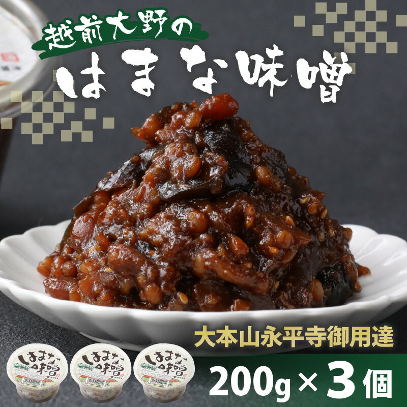 福井県大野市の画像2