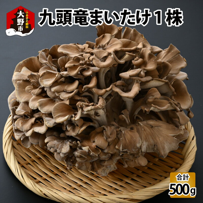 ڤդ뤵Ǽǡ۶Ƭεޤ 1 [A-038003]| ޤ Τ   Ǿ  ŷפ  Ƭε ...