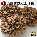 名称九頭竜まいたけ 3株入り 内容量九頭竜まいたけ　約500g ×3株　合計約1.5kg 産地福井県大野市産消費期限到着日より5日以内 原材料舞茸（福井県大野市産） アレルギー 特定原材料8品目および特定原材料に準ずる20品目は使用していません。 保存方法冷蔵庫の野菜室で保存してください。冷凍する場合は適当な大きさに裂いてから冷凍し、解凍せずそのまま調理してください。 事業者株式会社　昇竜 >提供元の全てのお礼の品を見る 配送方法冷蔵配送※北海道・沖縄・離島への返礼品の発送は対応しておりません。※消費期限が大変短い返礼品です。寄付者様のご都合でお届けできなかった場合、返品・交換・再配達の対応は致しかねます。あらかじめご了承ください。 備考※画像はイメージです。※「のし」をご希望の場合は、備考欄に「表書き」、「名入れ」、「無地」等の詳細の内容をご記入ください。※備考欄へ記載がない場合は、紅白蝶結びの無地のしで対応させていただきます。※お届け日を希望される方は、備考欄に「お届け希望日＆お届け時間」を記載下さい。◆但し、お届け日を希望される場合は「お申込日から7日後以降の日付」を記載下さい。・午前中（8時～12時）・12時～14時・14時～16時・16時～18時・18時～20時・18時～21時・19時～21時 ・ふるさと納税よくある質問はこちら ・寄附申込みのキャンセル、返礼品の変更・返品はできません。あらかじめご了承ください。【ふるさと納税】九頭竜まいたけ 3株入り【山菜・きのこ・舞茸】 九頭竜川の源流の清らかな水と澄んだ空気によって生育した、大野産のまいたけです。九頭竜まいたけの工場は、福井県大野市の山間部に位置し、空気も水も綺麗な恵まれた自然環境の中にあるので、食の安全を第一に安心で良質なまいたけに仕上がっています。きのこの王様といわれる舞茸。王様という名に相応しい重量感と独特の香り、そして歯ごたえの「九頭竜まいたけ」。天ぷら、味噌汁、鍋物、煮物、炒め物等いろいろなお料理に幅広くご利用いただけます！ふくよかな森の香りと豊かな味わいをご堪能ください。 寄附金の用途について (1)特色ある地域づくりの推進 (2)教育理念「明倫の心を重んじ　育てよう　大野人」の実現 (3)文化・スポーツを通じて、将来の夢が持てるふるさとづくり (4)子育て支援・健康づくり・高齢者福祉の充実 (5)水を守り活かしたまちづくりの推進 (6)農業・農山村の未来を守る (7)商工業の活性化 (8)脱炭素型のまちづくり(9)市長にお任せ 受領証明書及びワンストップ特例申請書のお届けについて 入金確認後、注文内容確認画面の【注文者情報】に記載の住所にお送りいたします。発送の時期は、入金確認後2〜3週間程度を目途に、お礼の特産品とは別にお送りいたします。