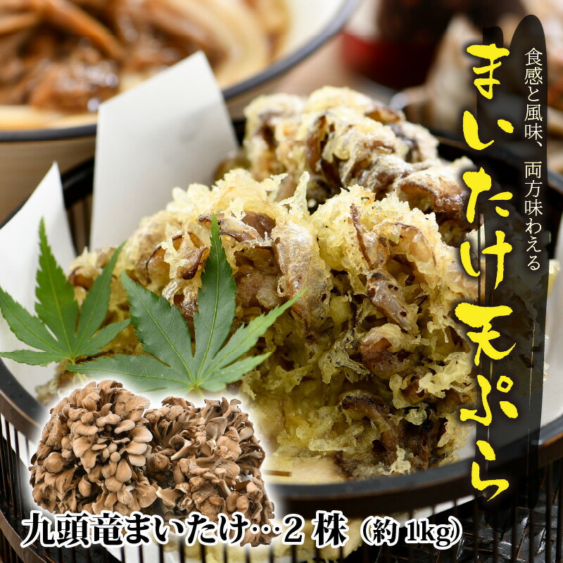 【ふるさと納税】九頭竜まいたけ と うま煮 ・ ごはんの素 など加工品セット(Bセット)[A-038005]| まいたけ 乾燥 ポン酢 炊き込みご飯 きのこ 舞茸 香り 最上級 歯ごたえ 天ぷら おすすめ 加工品 加工食品 九頭竜 秋の味覚 冷凍保存 山菜 ビタミンD βグルカン
