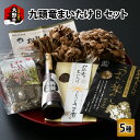 【ふるさと納税】九頭竜まいたけ と うま煮 ・ ごはんの素 など加工品セット(Bセット)[A-038005]| まいたけ 乾燥 ポン酢 炊き込みご飯 きのこ 舞茸 香り 最上級 歯ごたえ 天ぷら おすすめ 加工品 加工食品 九頭竜 秋の味覚 冷凍保存 山菜 ビタミンD βグルカン その1