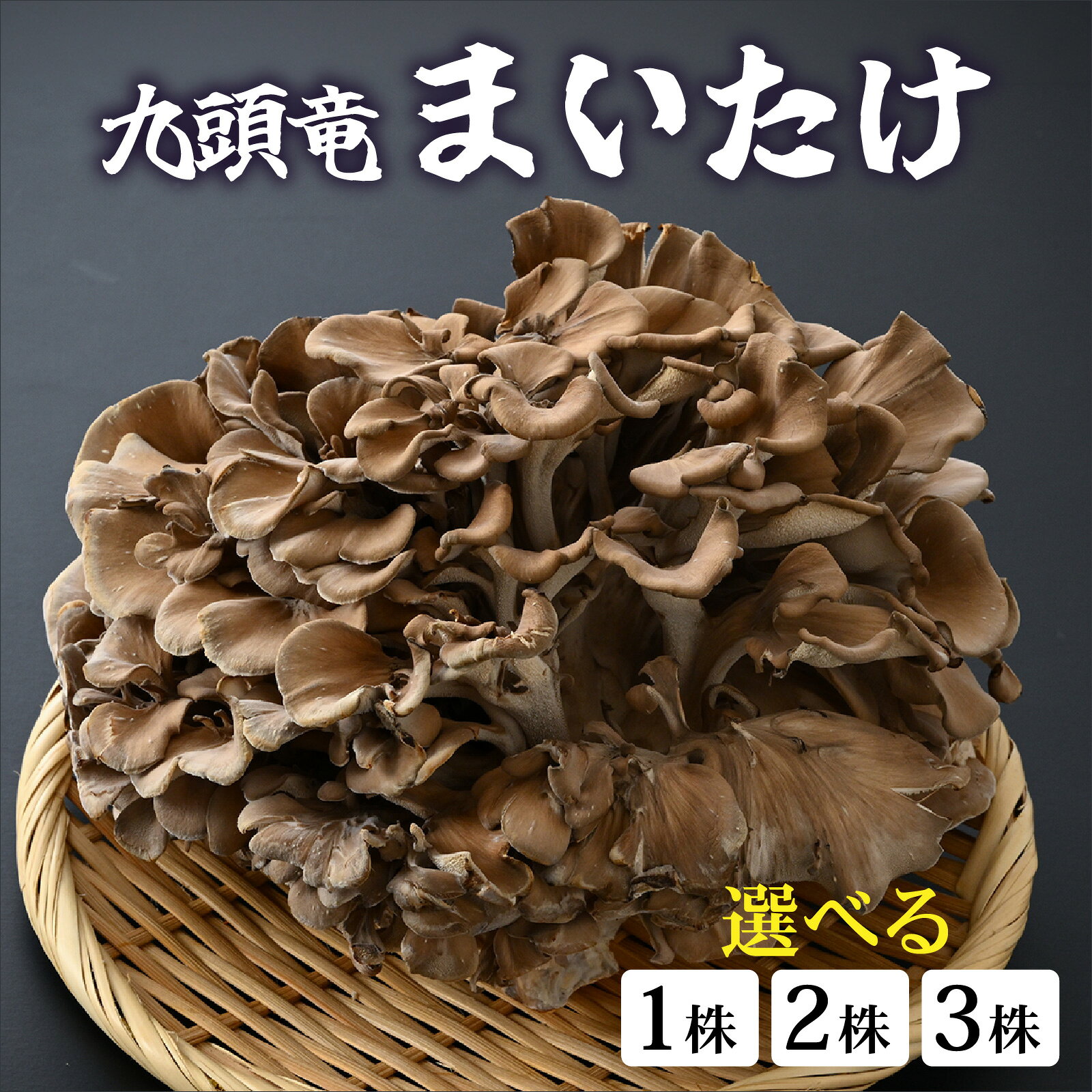 【ふるさと納税】【選べる個数】九頭竜まいたけ 1株～3株入り [A-038003oya]| まいたけ きのこ 舞茸 香り 最上級 歯ごたえ 天ぷら おすすめ 九頭竜 山菜 秋の味覚 ビタミンD βグルカン