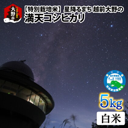 【令和5年産】星降るまち 越前大野の「満天コシヒカリ」白米 5kg 農薬・化学肥料50%以上カット の 特別栽培米 農家直送 単一原料米 大野市 [A-005003]|ギフト 精米 玄米 白米 ご飯 ごはん こしひかり 産地直送 食品 お取り寄せ 美味しい 米処 送料無料