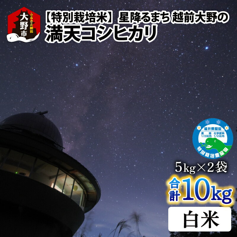 [令和5年産]星降るまち 越前大野の「満天コシヒカリ」白米 10kg (5kg×2袋) 小分け 農薬・化学肥料50%以上カットの特別栽培米 農家直送 単一原料米 大野市[A-005004] |精米 玄米 白米 ご飯 ごはん こしひかり 産地直送 食品 美味しい 米処 送料無料