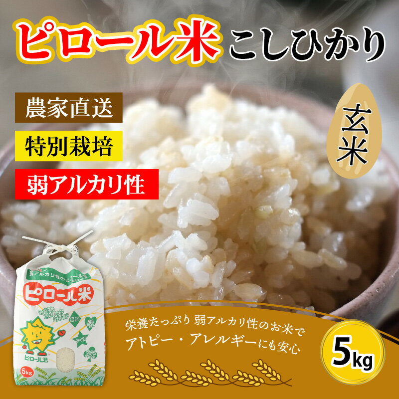 【ふるさと納税】【令和7年産 新米】こだわりの米！弱アルカリ性のピロール米 こしひかり 玄米 5kg [A-009002]