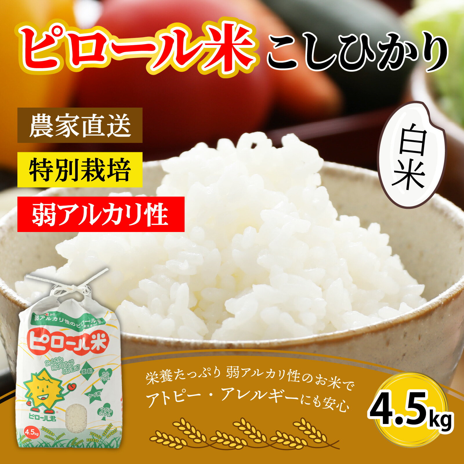 福井県大野市の画像2