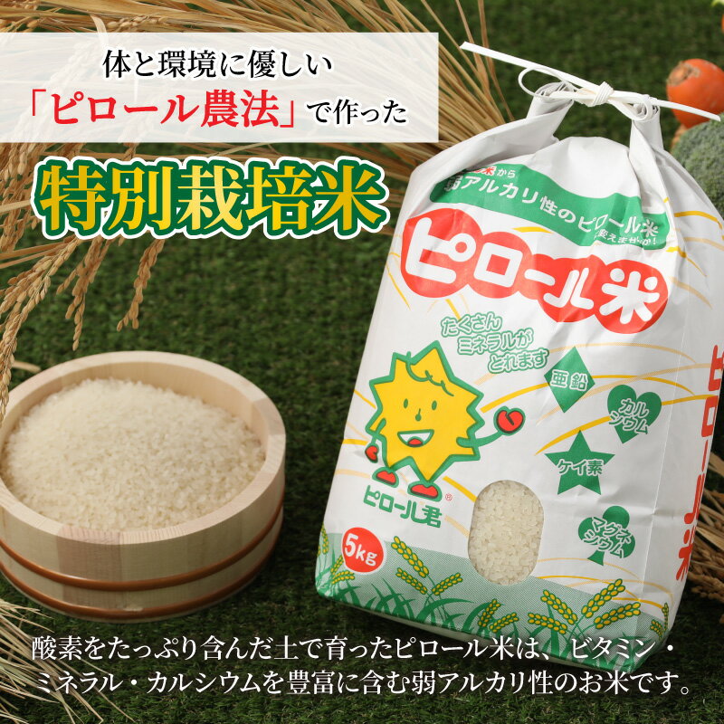 福井県大野市の画像3