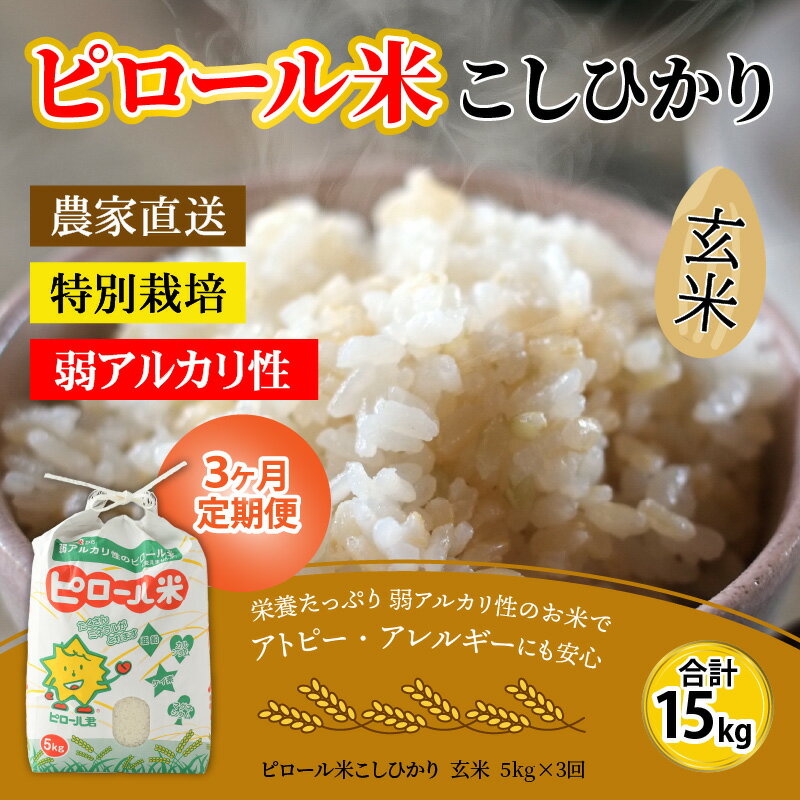 【ふるさと納税】【令和7年産 新米】【3ヶ月定期便】こだわりの米！弱アルカリ性のピロール米 こしひかり 玄米 5kg×3回 計15kg [C-009002]