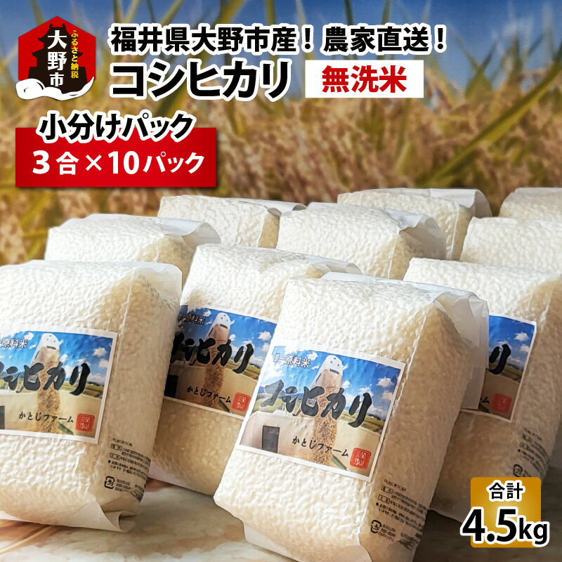 楽天福井県大野市【ふるさと納税】【令和5年産】福井県大野市産 コシヒカリ 無洗米 3合×10パック（4.5kg）小分け アウトドアにもおすすめ 農家直送 [A-013003]