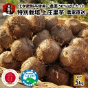 【ふるさと納税】【先行予約】こだわりの特別栽培 上庄里芋5kg 化学肥料不使用・農薬50％以上カットの特別栽培里芋 農家直送【発送月が選べる10月・11月・12月】[A-013018]