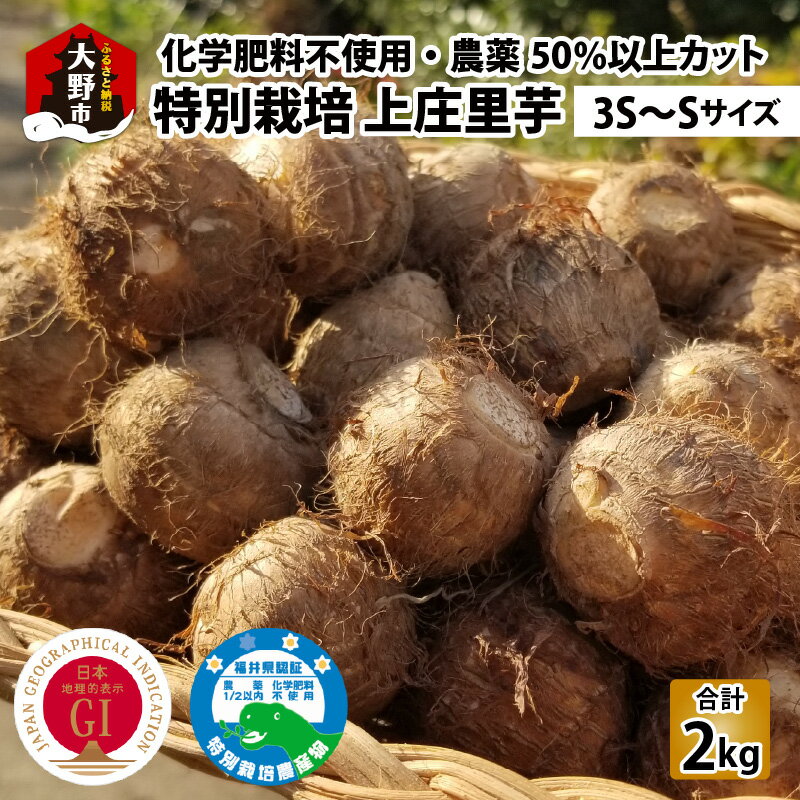 【ふるさと納税】【先行予約】【年内発送】こだわりの特別栽培 上庄里芋 2kg（3S～Sサイズ） きぬかつぎ 化学肥料不使用 農薬50％以上カットの特別栽培里芋 農家直送 [A-013009]