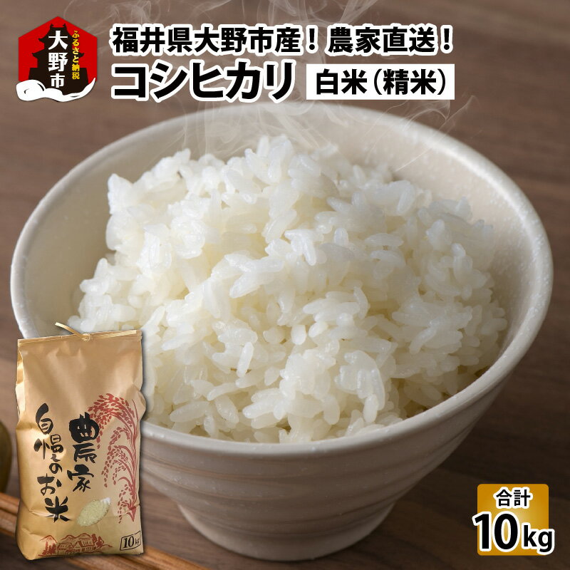 福井県大野市産 コシヒカリ 白米 精米 10kg 農家直送 